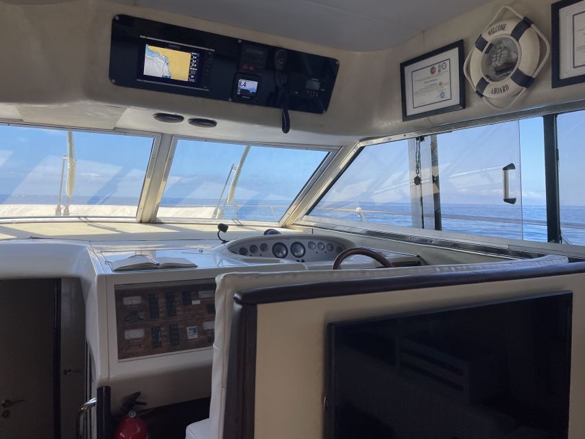 Las Galletas: Private Luxury Yacht Cruise with Lunch - Looking for whales and dolphins