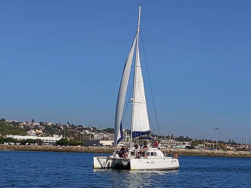 Lisbon: Catamaran Cruise with Drinks & Pastel de Nata - Who will enjoy this sailing?