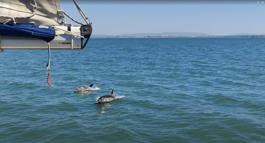 Lisbon: Private Boutique Boat Tour – Sail in Style - The cause behind Educar à Vela
