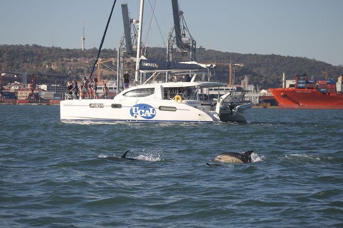 Lisbon: Sunset Cruise With Drinks on Spacious Yacht - Praça do Comércio from the water