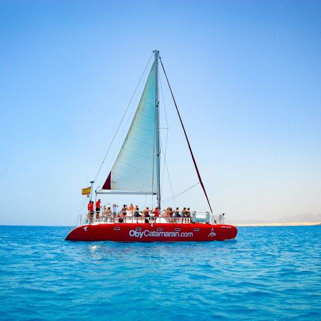 Lobos Island: 4-Hour Catamaran Trip with Lunch - Key points at a glance
