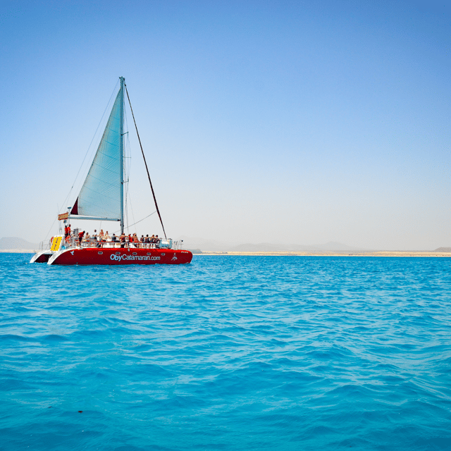 Lobos Island: 4-Hour Catamaran Trip with Lunch - Why Lobos Island makes a good half-day outing