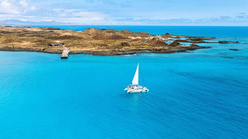 Lobos Island: 4-Hour Catamaran Trip with Lunch - Your hour on Lobos Island