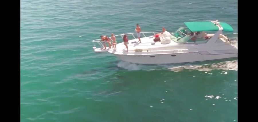 Long Beach: 2-Hour Private Group Yacht Cruise - Setting Out From Rainbow Harbor