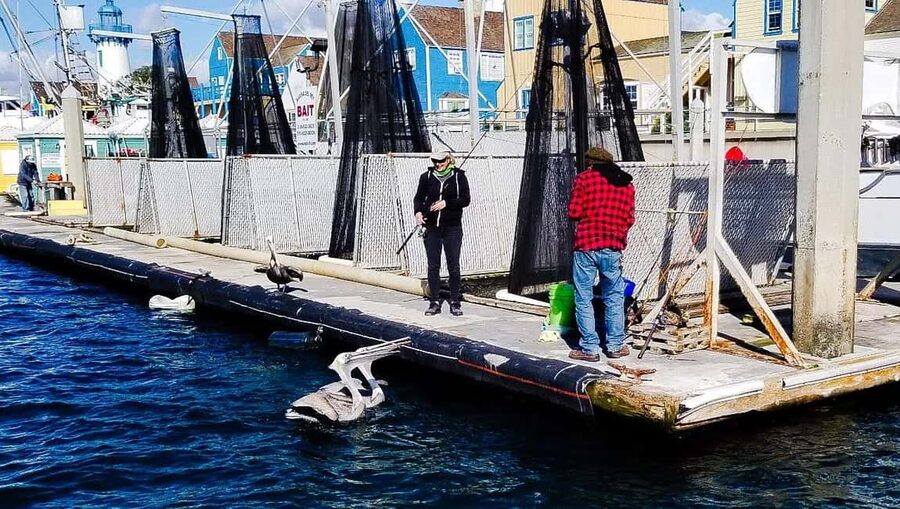 Los Angeles: Sunset Sailing - Taking the wheel with Gustavo