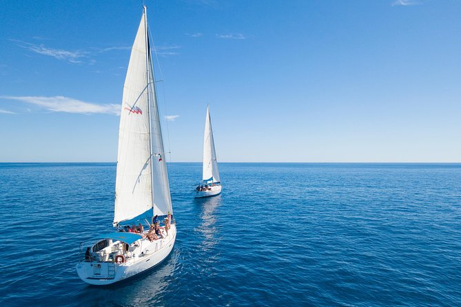 Los Cabos Luxury Sailing, Snorkel and Lunch Cruise - Is $149 a fair price?
