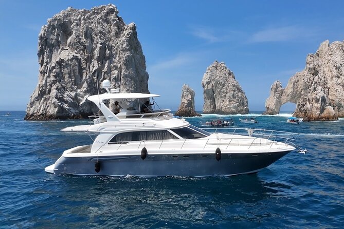 Los Cabos Whale Watching & Snorkel Adventure with Food & Drinks - Service, boat changes, and the one serious warning