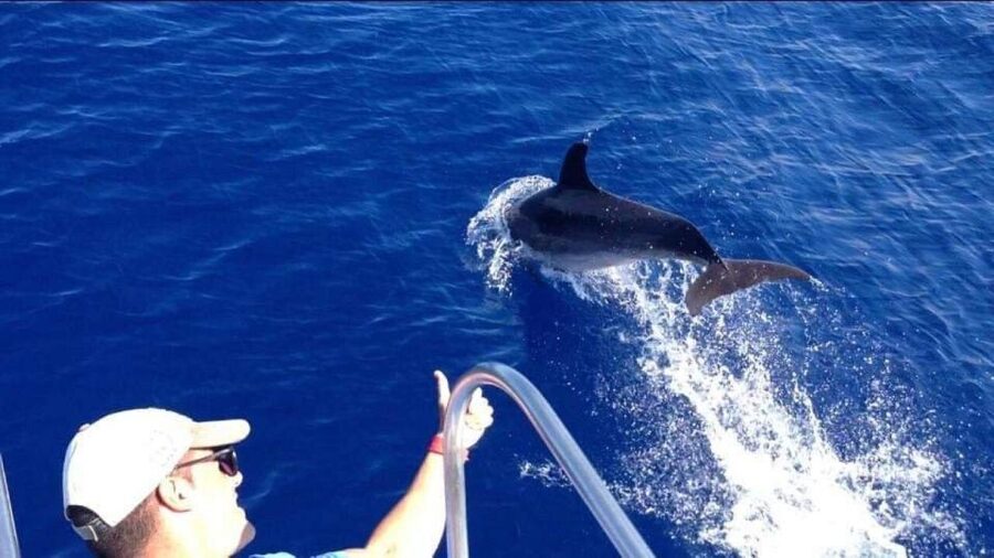 Los Cristianos: Eco Yacht Whale Watching Tour at Sunset - Who will enjoy this trip most