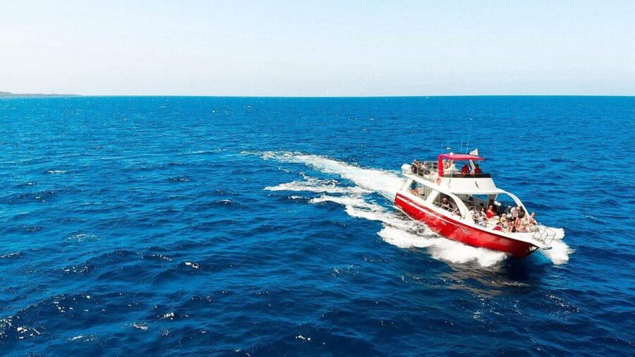 Los Cristianos: Eco Yacht Whale Watching Tour at Sunset - A low, stable boat with wildlife in mind