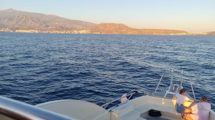 Los Cristianos: Eco Yacht Whale Watching Tour at Sunset - Price, value, and what you pay extra for