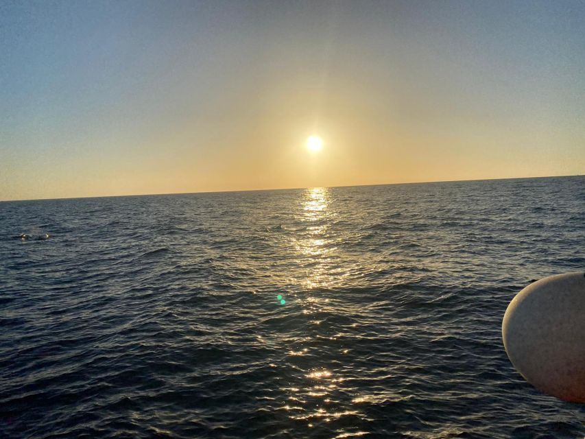 Los Cristianos: Eco Yacht Whale Watching Tour at Sunset - Comfort, seasickness, and what to bring