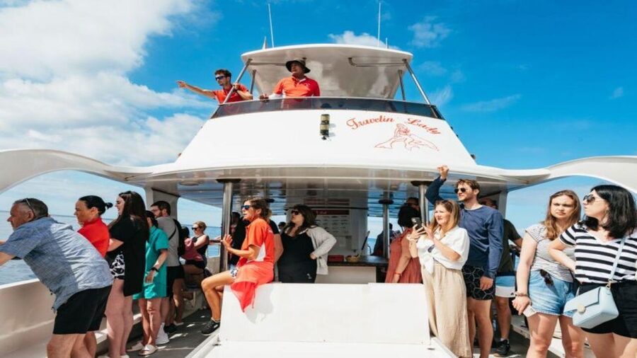 Los Cristianos: Eco Yacht Whale Watching Tour at Sunset - Finding the Travelin Lady at Los Cristianos port