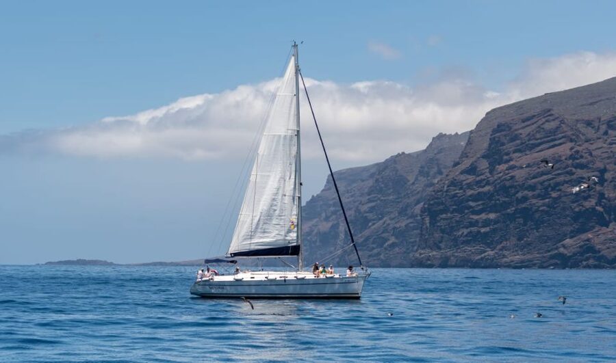 Los Gigantes: Sailing Excursion with Swimming, Drink & Tapas - Key points at a glance