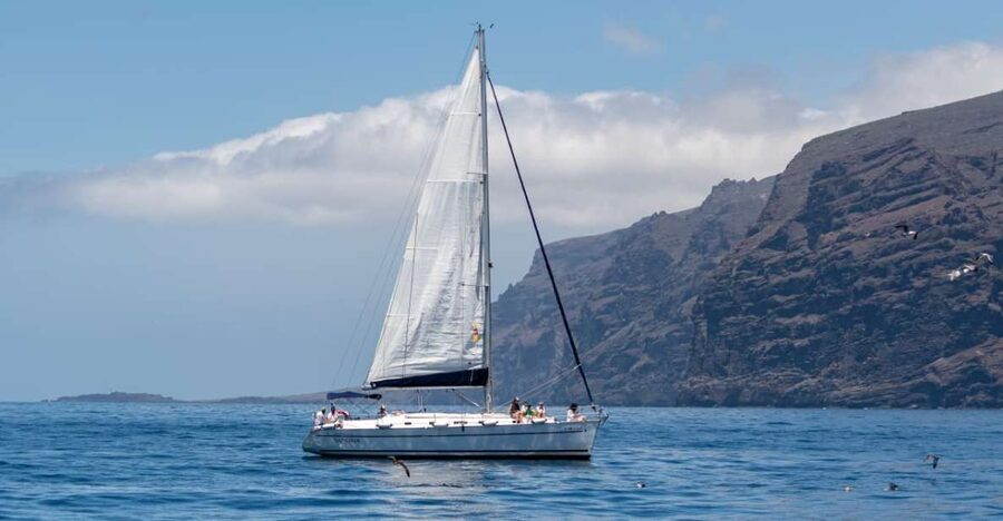 Los Gigantes: Sailing Excursion with Swimming, Drink & Tapas - Searching for pilot whales and dolphins offshore