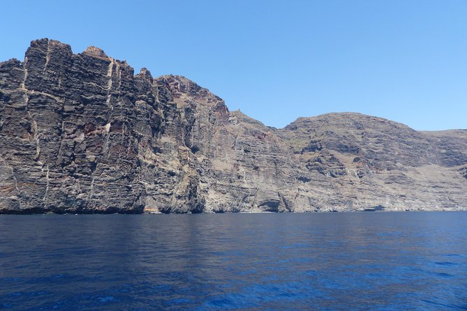 Los Gigantes Whale Watching Charter by Sail Boat - Lunch, fruit, and drinks on board