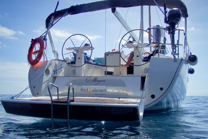 Los Gigantes Whale Watching Charter by Sail Boat - How much value do you get for $90.70?