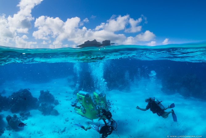 LUXURY Catamaran Bora Bora : Sailing, Snorkeling & Floating Bar - Who will enjoy Vitamin Sea most?