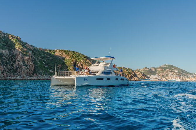Luxury Catamaran Whale Watching Cabo San Lucas - The Whale Watching Experience in Plain Terms