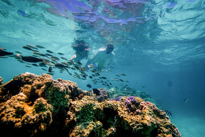 LUXURY PRIVATE Catamaran Bora Bora : Half-Day Trip - Price, group size, and practical value