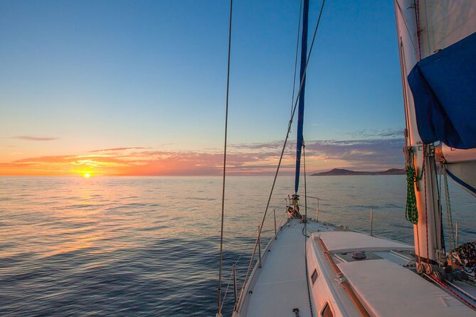 Luxury Sailboat Tour at Sunset in Los Cabos + Snacks + Premium Drinks - Whales, sea lions, and the value of flexible expectations