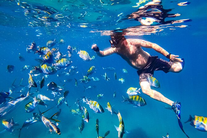 Luxury Yacht & Snorkel with All inclusive Open bar and lunch - Who will enjoy this outing most