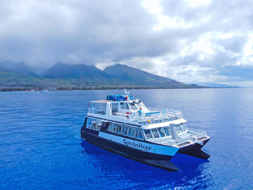Ma'alaea Harbor: Whale Watching Tour Aboard Power Catamaran - Key points to know before booking
