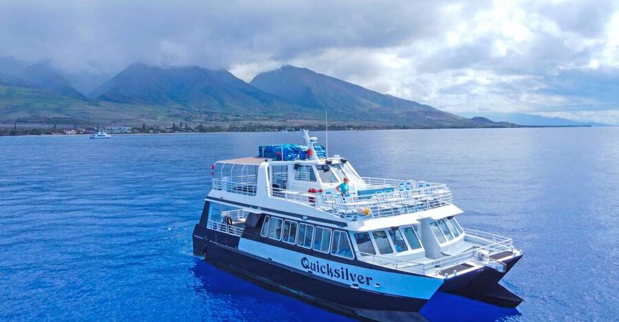 Ma'alaea Harbor: Whale Watching Tour Aboard Power Catamaran - What the two-hour route feels like