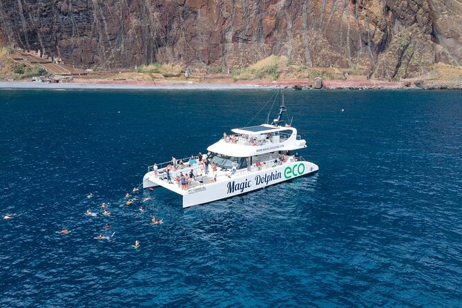 Madeira Dolphin and Whale Watching on a Ecological Catamaran - Why this Funchal cruise is worth considering