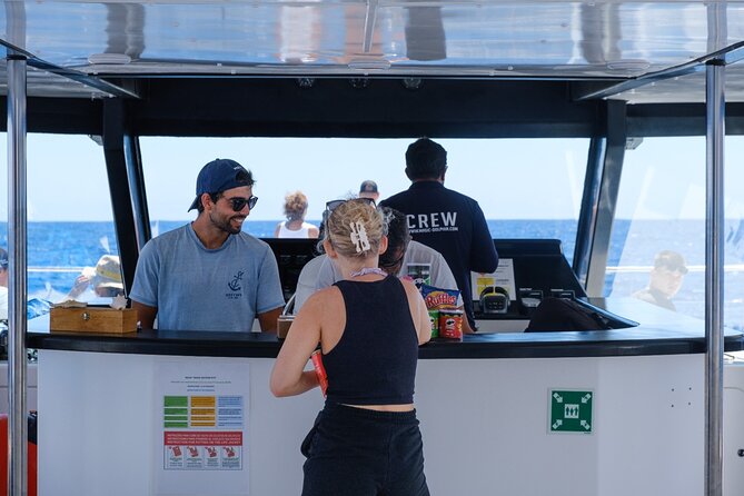 Madeira Dolphin and Whale Watching on a Ecological Catamaran - How the whale and dolphin search works