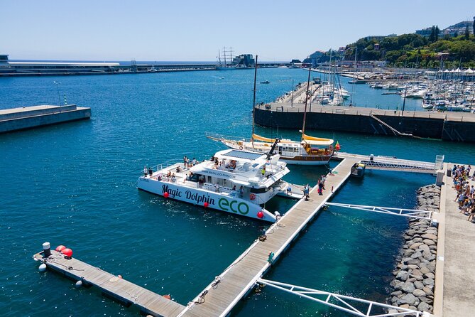 Madeira Dolphin and Whale Watching on a Ecological Catamaran - Cabo Girão and the southern coast on the way back