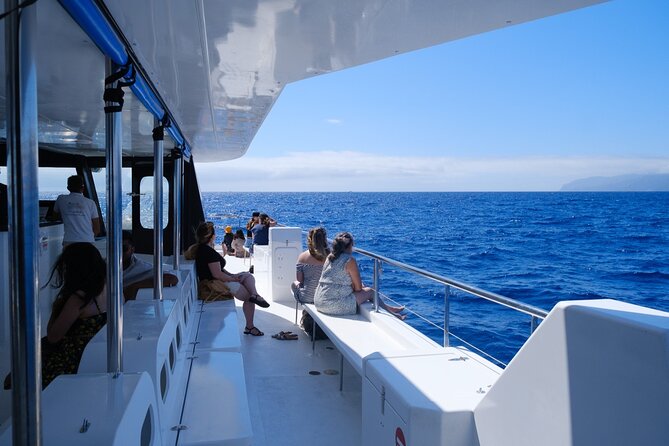 Madeira Dolphin and Whale Watching on a Ecological Catamaran - The sea conditions are the biggest variable