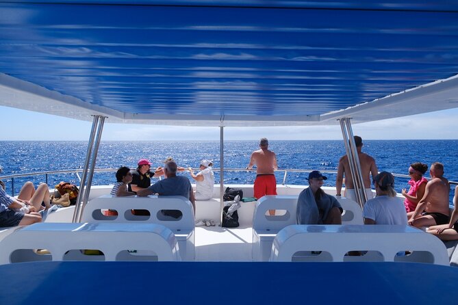 Madeira Dolphin and Whale Watching on a Ecological Catamaran - How crowded is the catamaran?