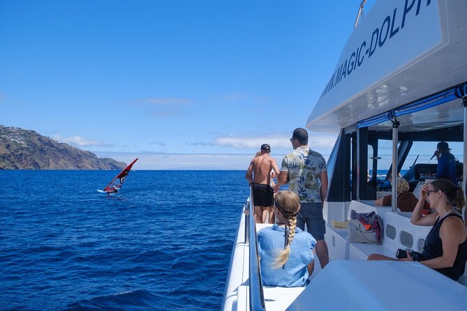 Madeira Dolphin and Whale Watching on a Ecological Catamaran - Booking, timing, and cancellation details