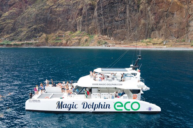 Madeira Dolphin and Whale Watching on a Ecological Catamaran - What you learn from the crew