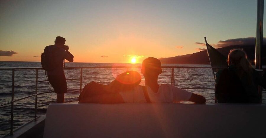 Madeira: Funchal Sunset Tour by Catamaran - Key points to know before you book