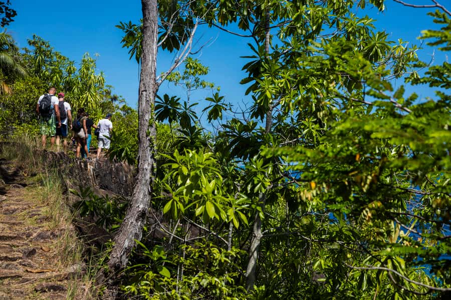 Mahé: Baie Ternay Park Catamaran Cruise with BBQ Lunch - Key points at a glance