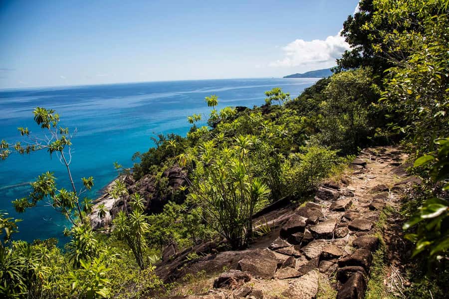 Mahé: Baie Ternay Park Catamaran Cruise with BBQ Lunch - How the six-hour schedule feels