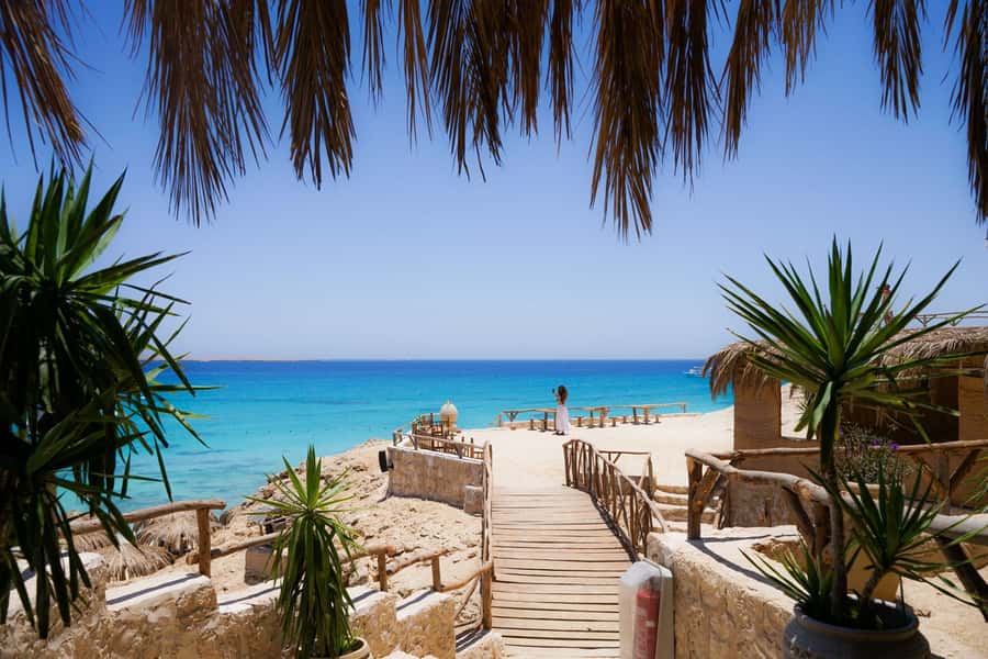 Mahmya Island: Red Sea Sailing Experience - Booking and cancellation details