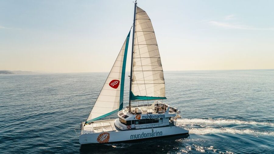 A sailing catamaran heeling over blue water with the mainsail up