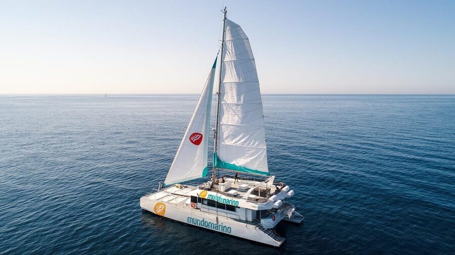 Malaga: Sailing Catamaran with Swimming and Paella Lunch - What to Bring and What to Know Before You Go