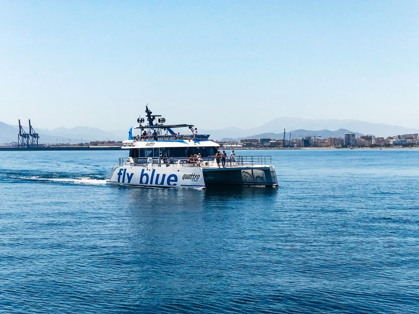 Málaga: Scenic Catamaran Cruise - Should you book the Málaga catamaran cruise?