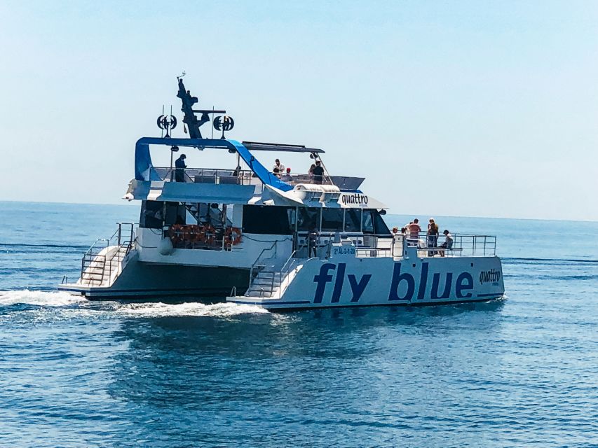 Málaga: Scenic Catamaran Cruise - Swimming depends on the departure