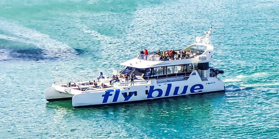 Málaga: Scenic Catamaran Cruise - Who will enjoy this most?