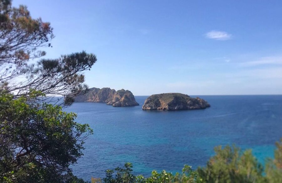 Mallorca: 2-Hour Coastline & Malgrat Islands Catamaran Tour - Commentary, Crew, and Languages