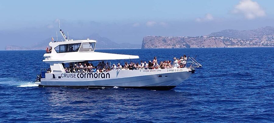 Mallorca: Catamaran Coastal Cruise with Lunch - Practical advice before you book