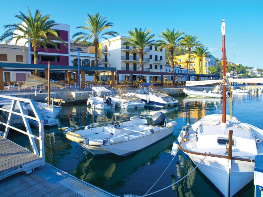 Mallorca: Catamaran Coastal Cruise with Lunch - Coastal views, coves, and time on deck