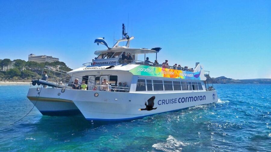 Mallorca: Catamaran Coastal Cruise with Lunch - The 40-minute stop at Port Andratx