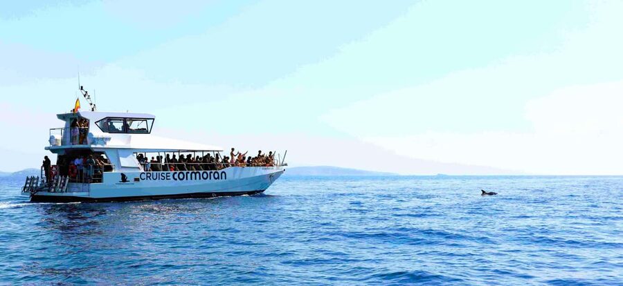 Mallorca: Catamaran Coastal Cruise with Lunch - Is $54 a fair price?