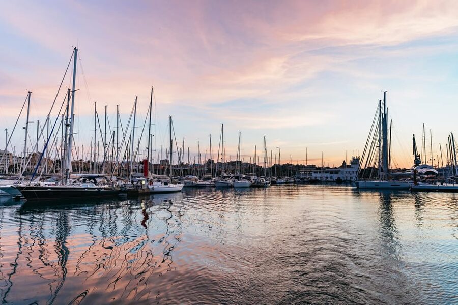 Mallorca: Midday or Sunset Sailing with Snacks and Open Bar - The Cava, Snacks, and Open Bar