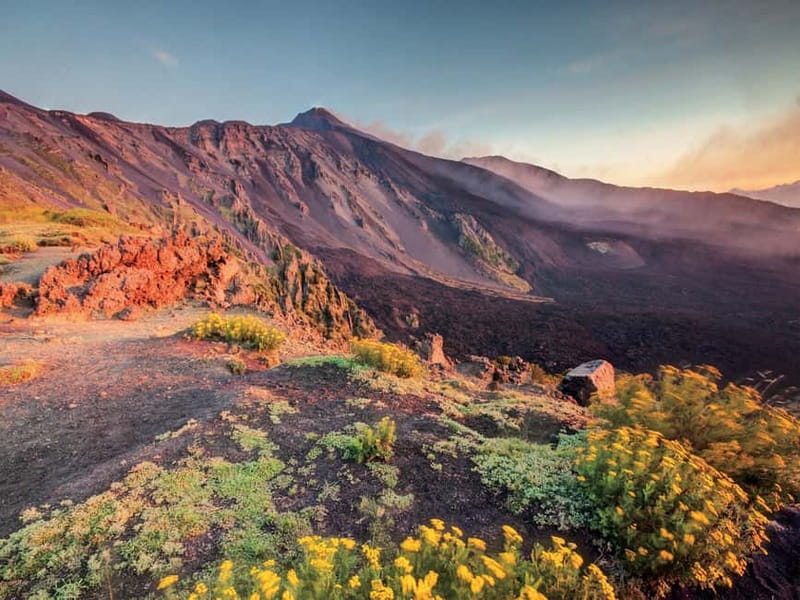 Malta: Mount Etna and Catania Guided Day Trip by Catamaran - What the guided format adds in Catania